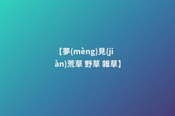 【夢(mèng)見(jiàn)荒草 野草 雜草】